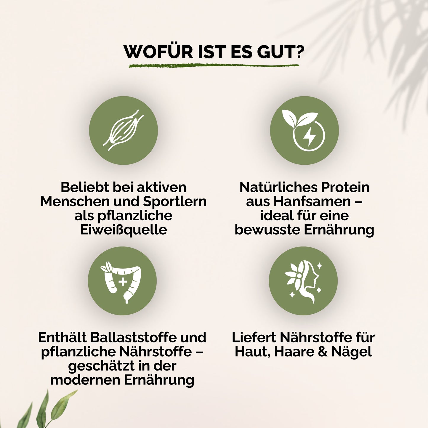 Bio Hanfprotein
