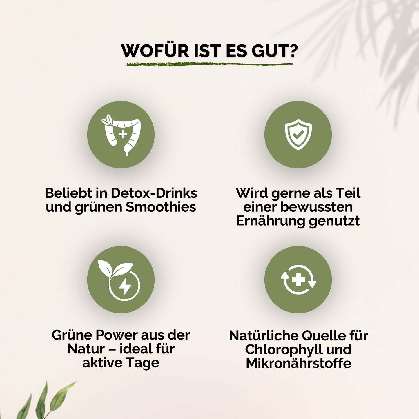 Chlorella