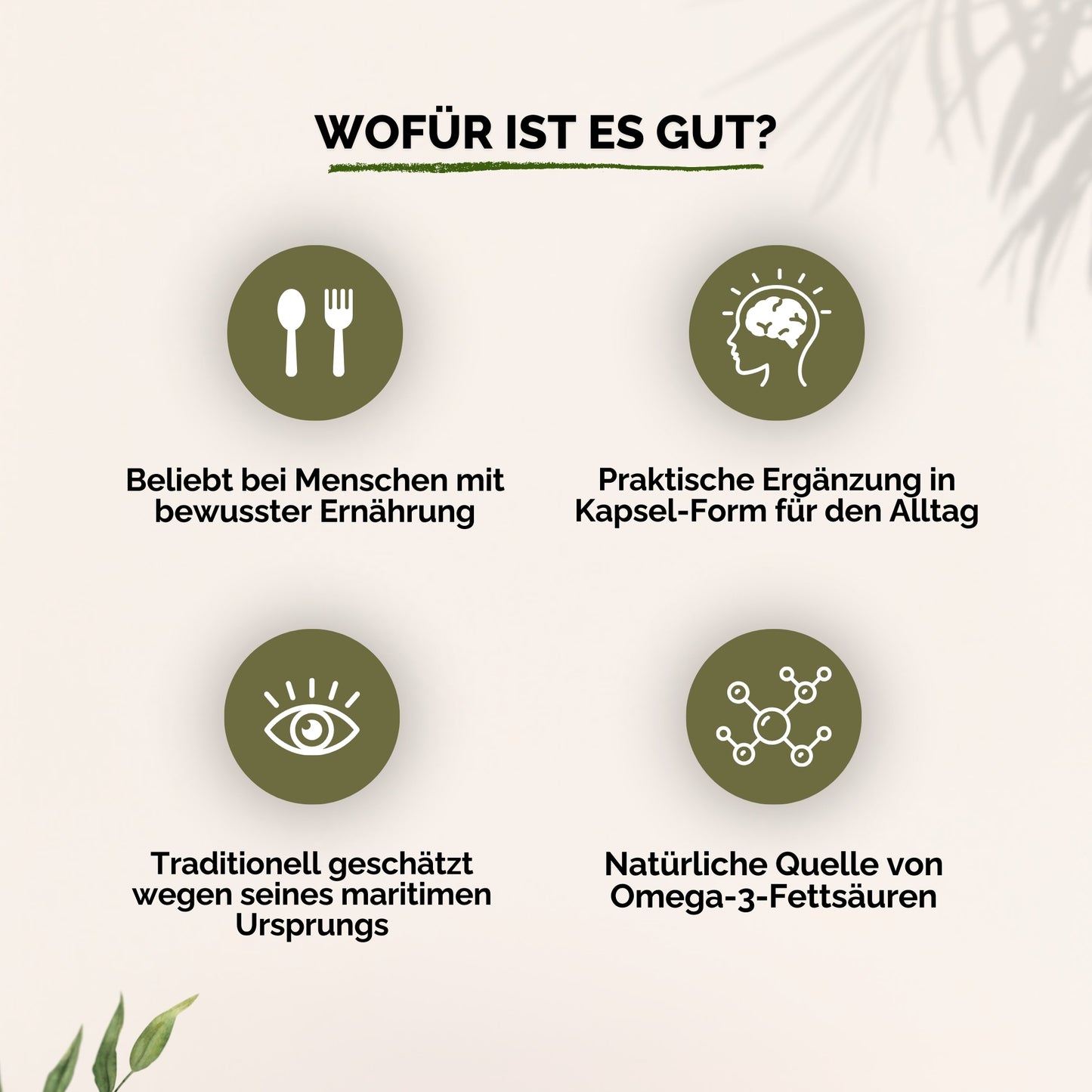 Omega 3 Lachsölkapseln 365stk.