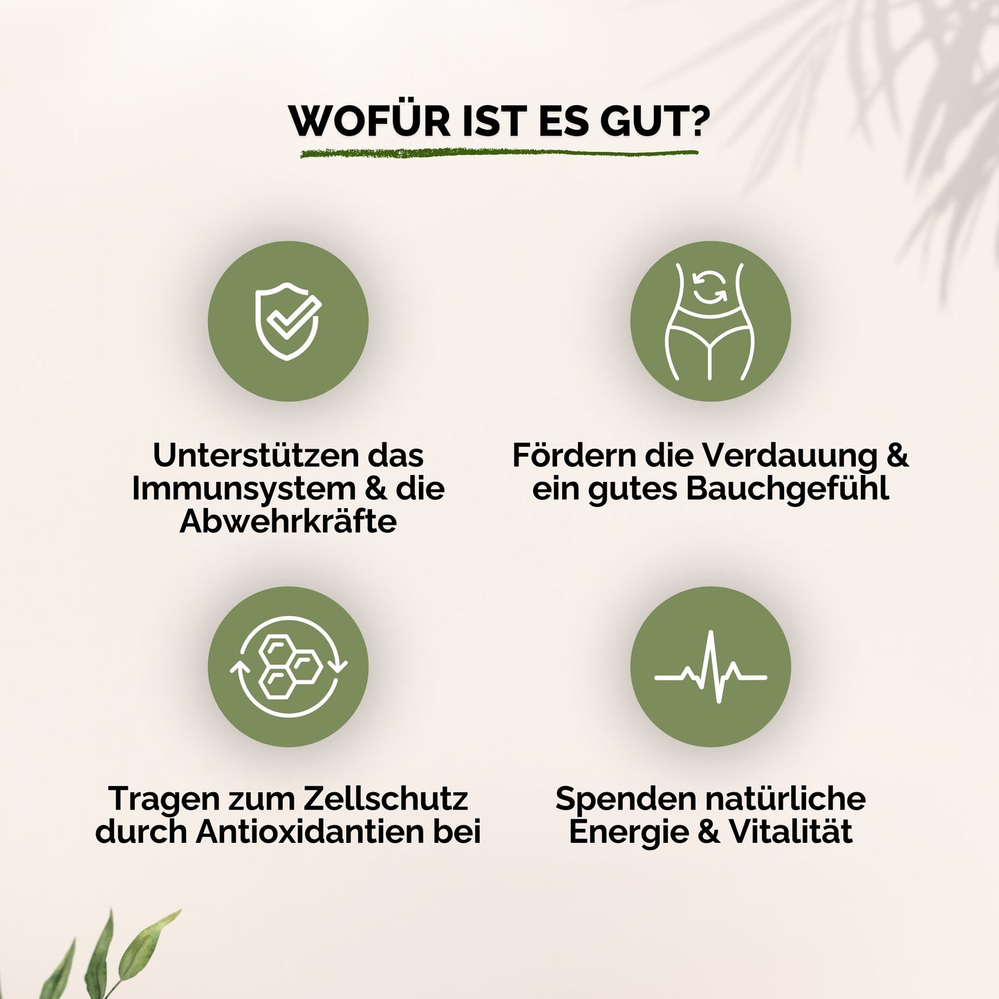 Kurkuma + Ingwer + Schwarzer Pfeffer Gummies - 60 Stk.