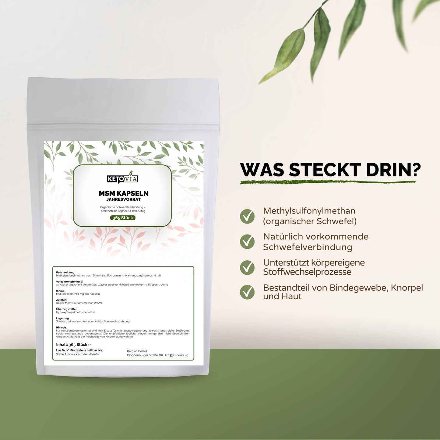 MSM Kapseln 365stk.