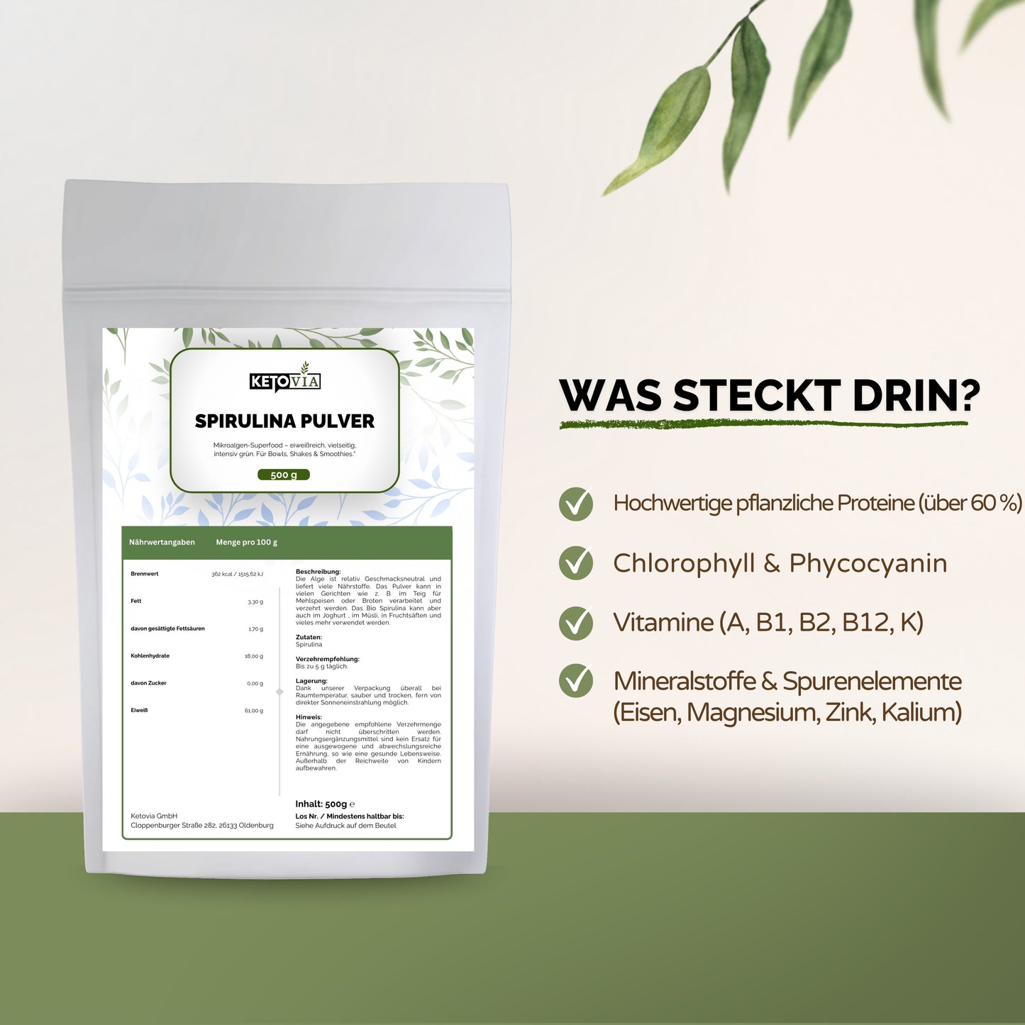 Spirulina Pulver