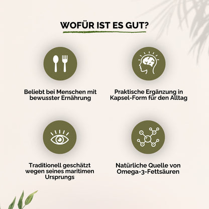 Omega 3 Lachsölkapseln 365stk.