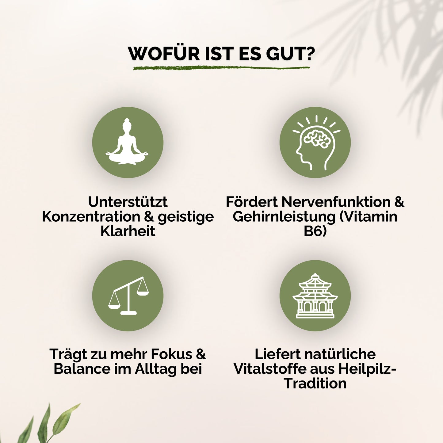 Löwenmähne + Vitamin B6 Gummies - 60 Stk.