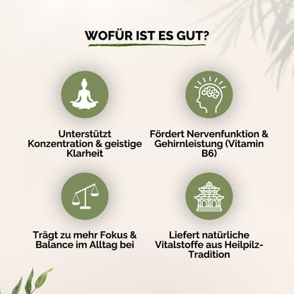 Löwenmähne + Vitamin B6 Gummies - 60 Stk.