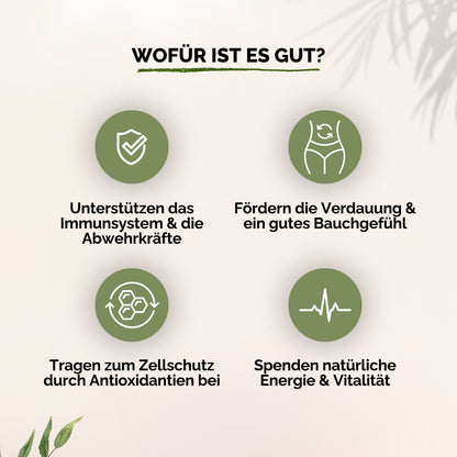 Kurkuma + Ingwer + Schwarzer Pfeffer Gummies - 60 Stk.
