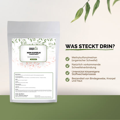 MSM Kapseln 365stk.
